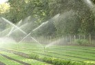 Tennyson Pointlandscaping-water-management-and-drainage-17.jpg; ?>